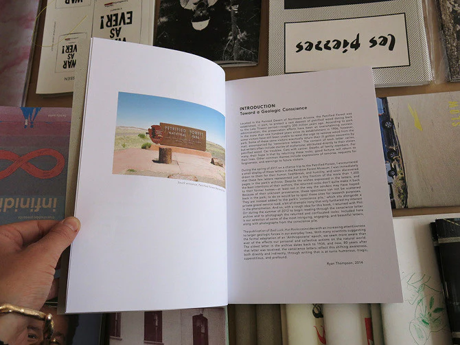 Bad Luck, Hot Rocks: Conscience Letters and Photographs from the Petrified Forest - Image 3