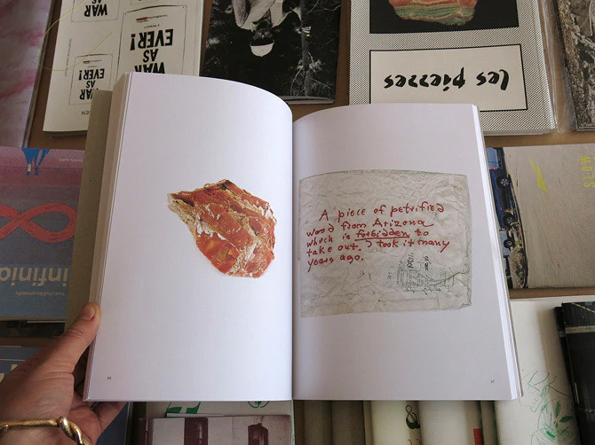 Bad Luck, Hot Rocks: Conscience Letters and Photographs from the Petrified Forest - Image 6