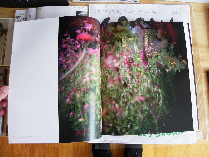 Christopher Koller - Paradeisos - Image 3