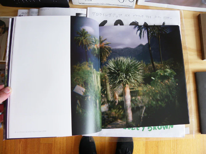 Christopher Koller - Paradeisos - Image 4