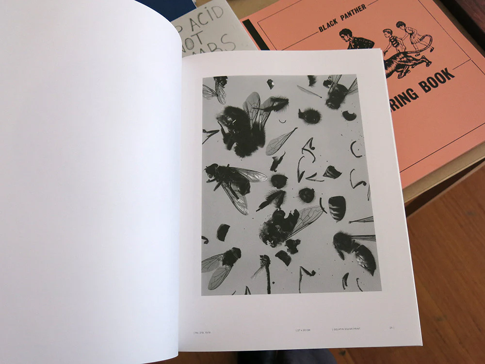 Dawid: This Is A Photograph - Image 3