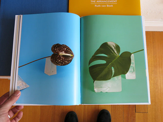 Georgia Hutchison & Arini Byng – Moved Objects - Image 7