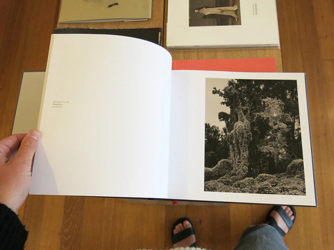 Helene Schmitz - Borderlands - Image 5