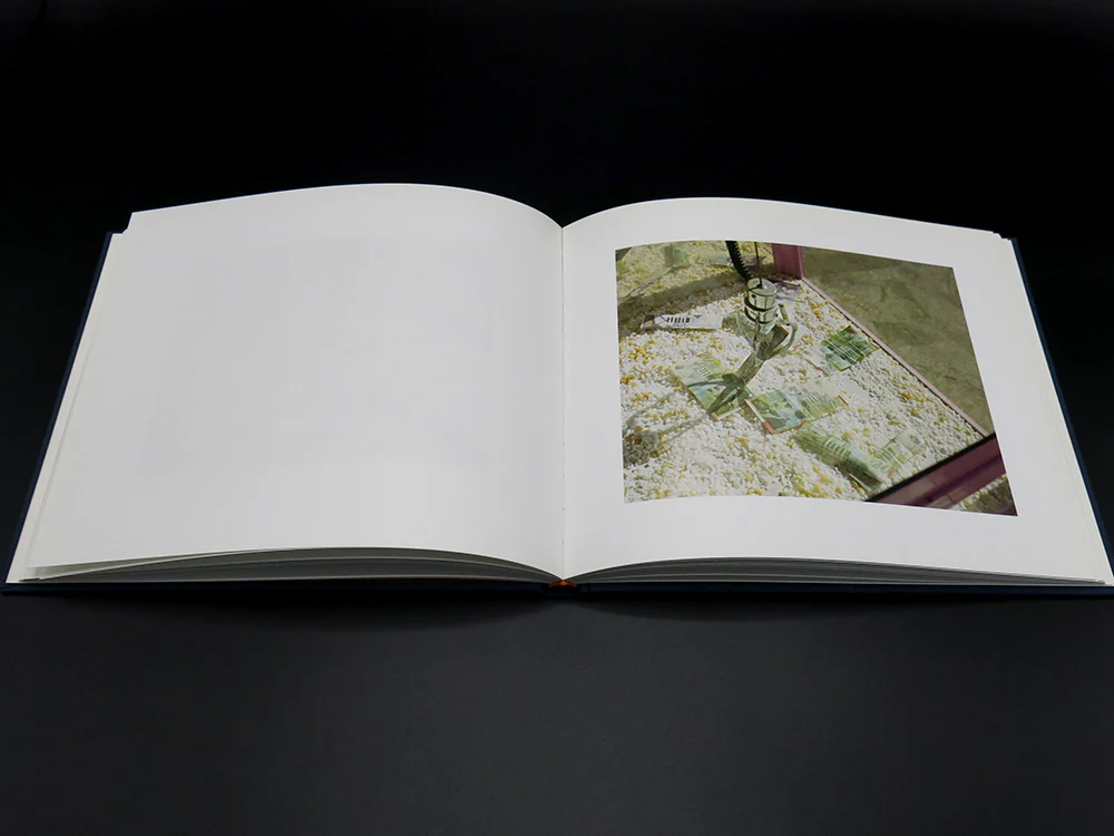 J. Carrier – Elementary Calculus (Rare) - Image 5