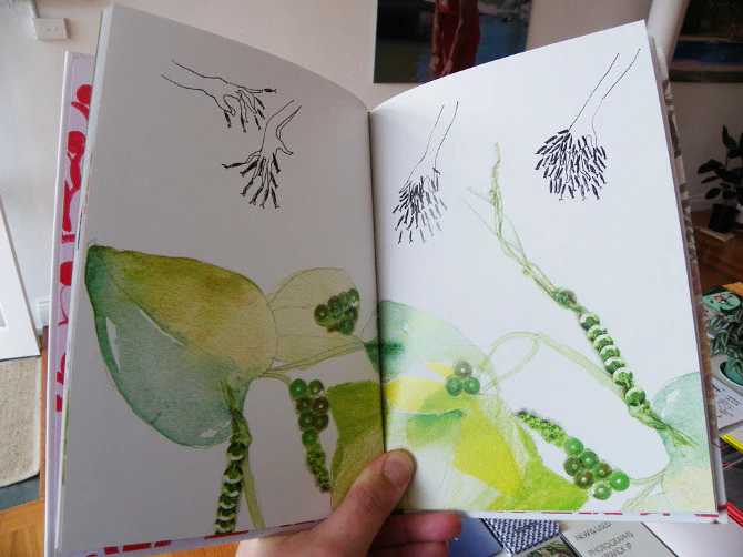 Kat Macleod - Sequins & Sequence - Image 3