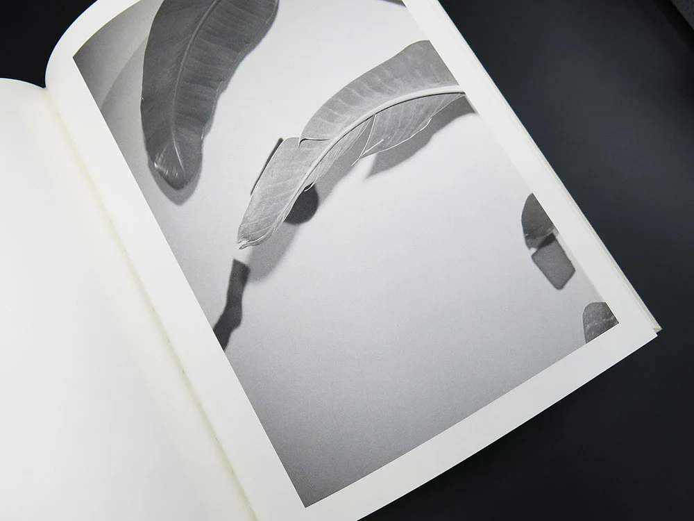 Landon Metz – West Street Studio (Rare) - Image 5