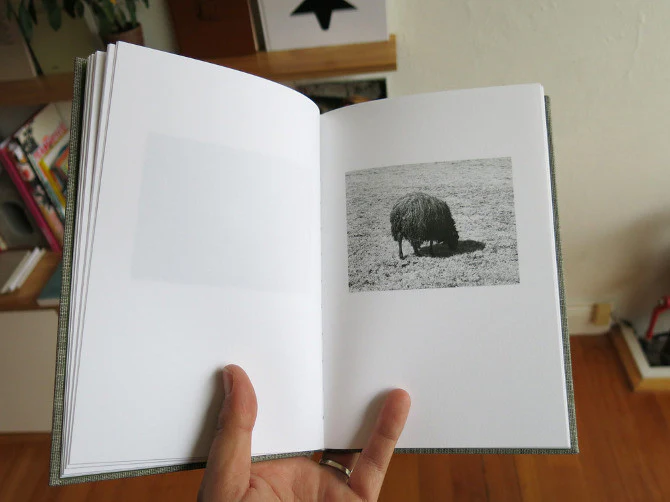 Mårten Lange - Another Language - Image 5