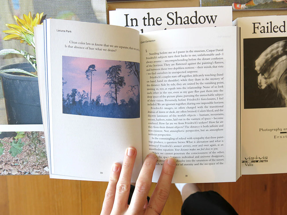 Nicholas Muellner – Lacuna Park: Essays and Other Adventures in Photography - Image 3