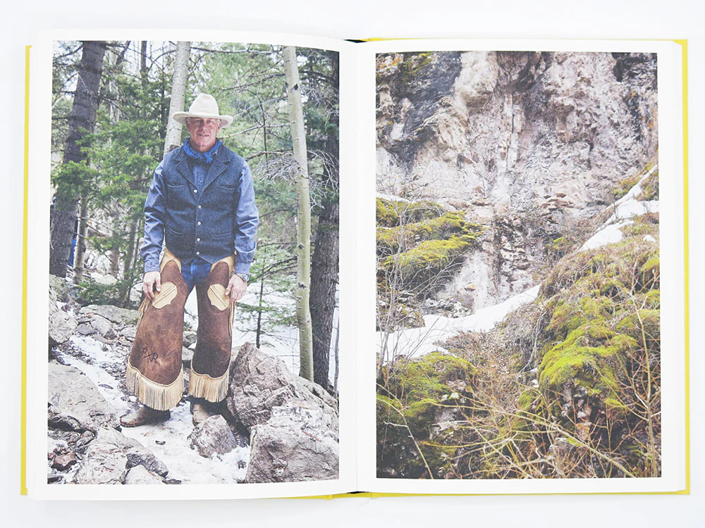 Bec Parsons – Lone Dove - Image 11