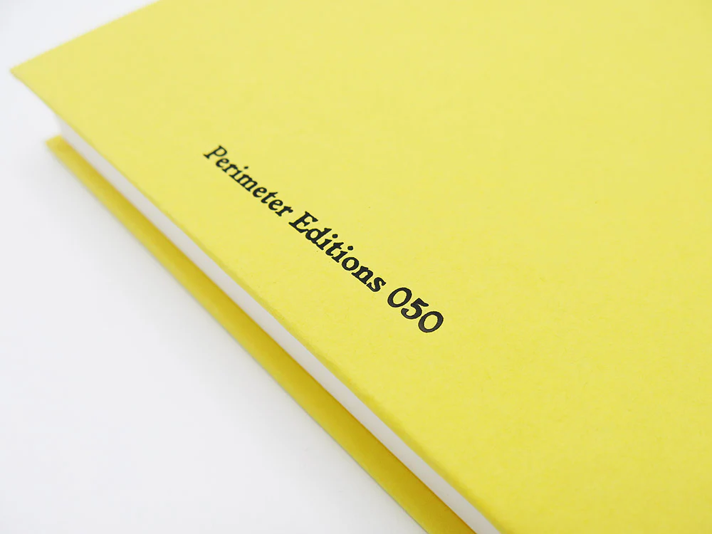 Bec Parsons – Lone Dove - Image 13