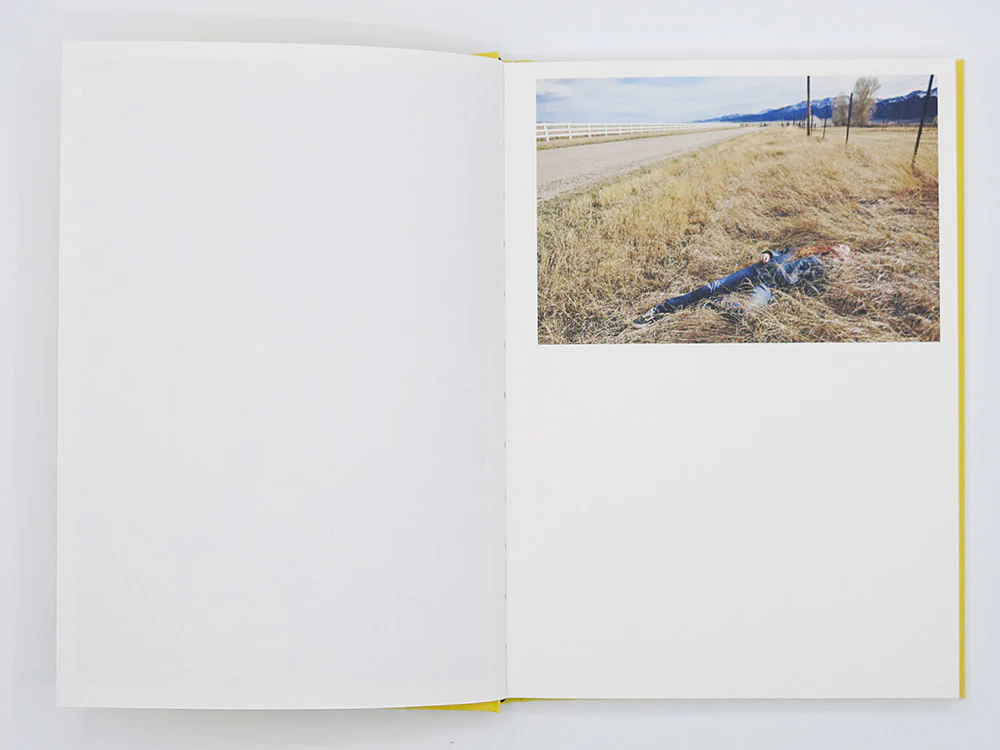 Bec Parsons – Lone Dove - Image 3