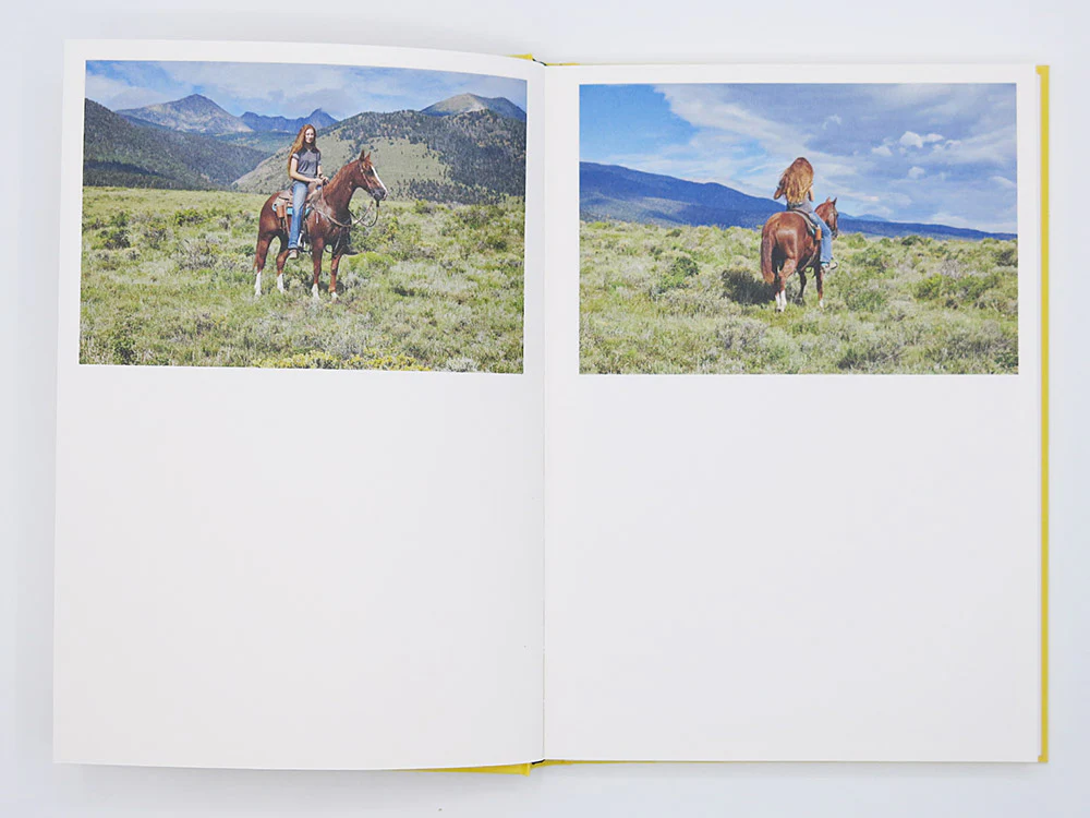 Bec Parsons – Lone Dove - Image 4