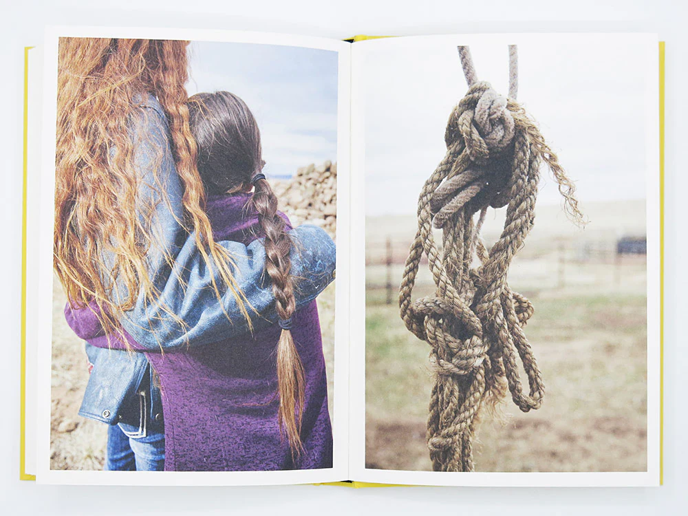 Bec Parsons – Lone Dove - Image 5