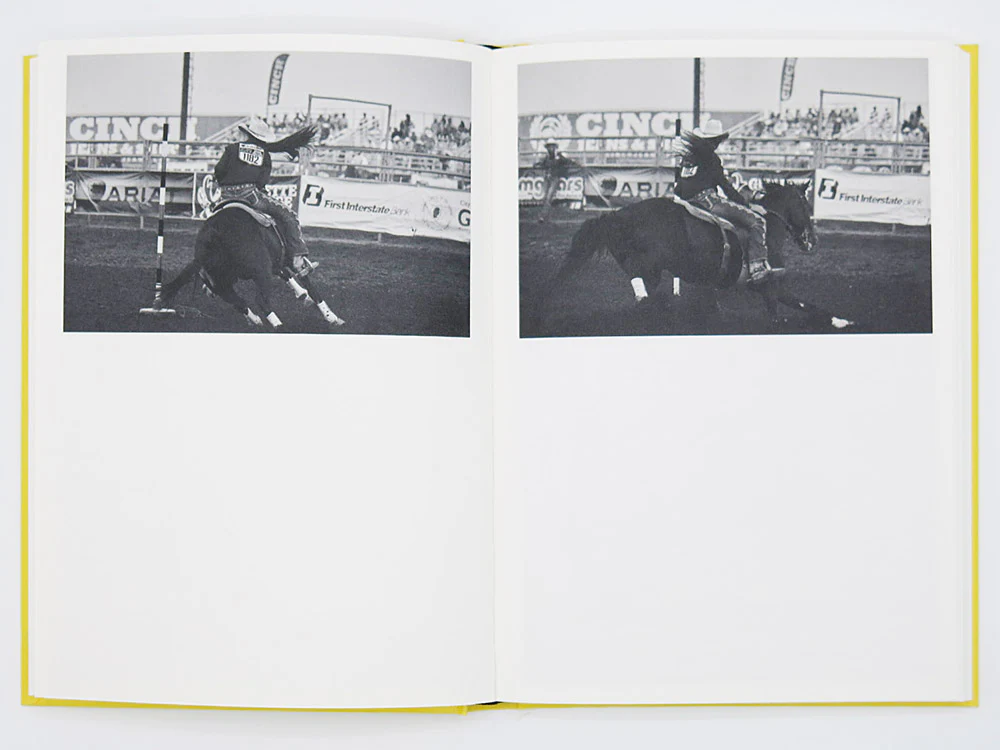 Bec Parsons – Lone Dove - Image 6