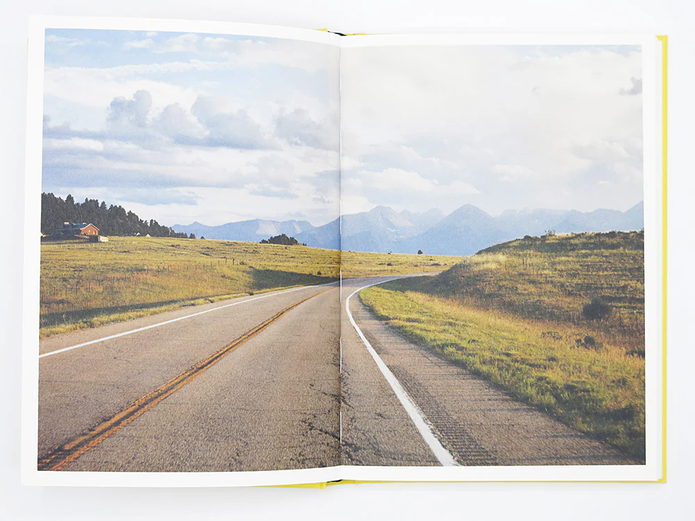 Bec Parsons – Lone Dove - Image 8