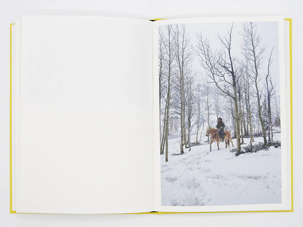 Bec Parsons – Lone Dove - Image 9