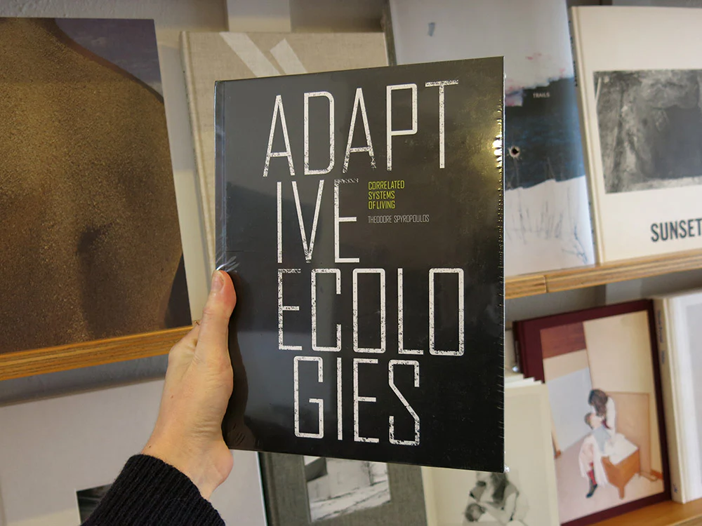 Perimeter Easter Backlist Sale