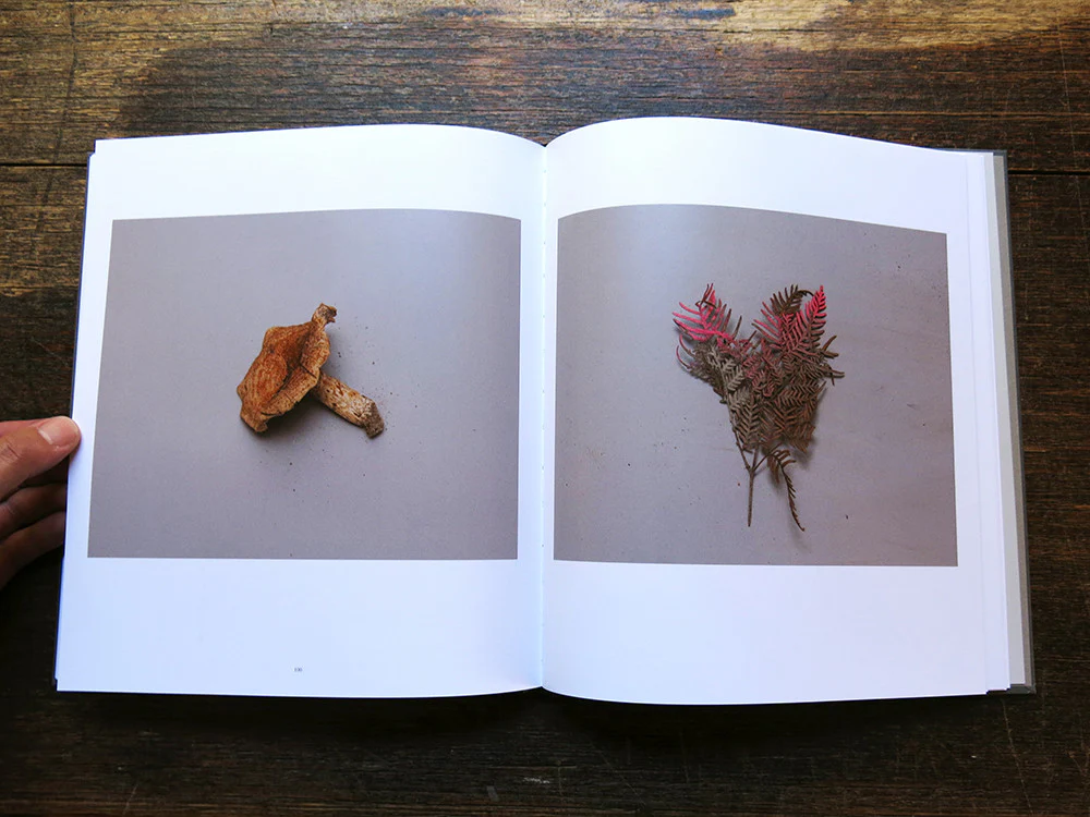 Warwick Baker - Belanglo - Image 9